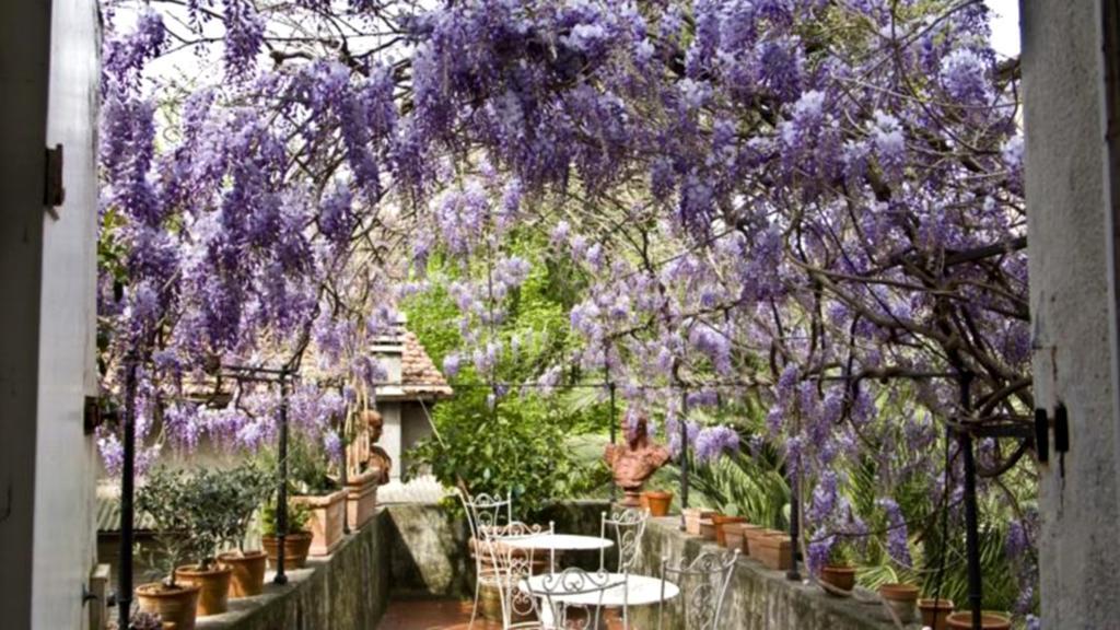 Locanda Sant' Agostino Lukka Zewnętrze zdjęcie